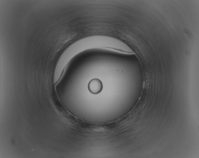 X0000116570456200912241638