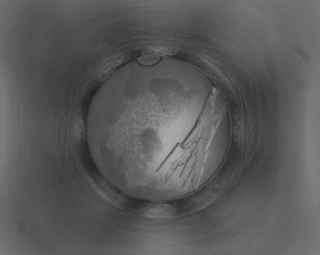 X0000116570459200912241638