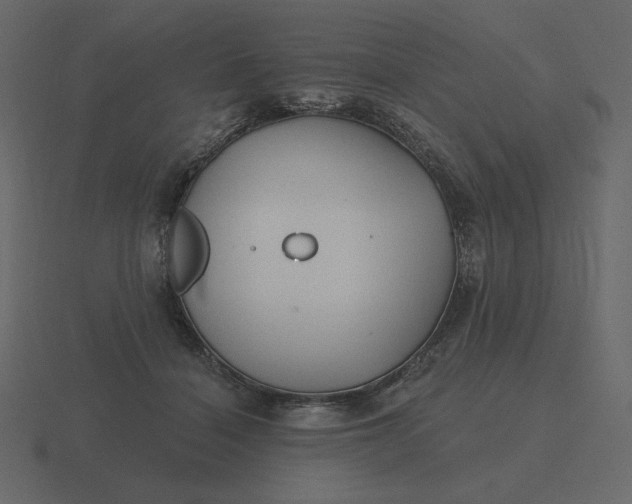 X0000116570460200912241638