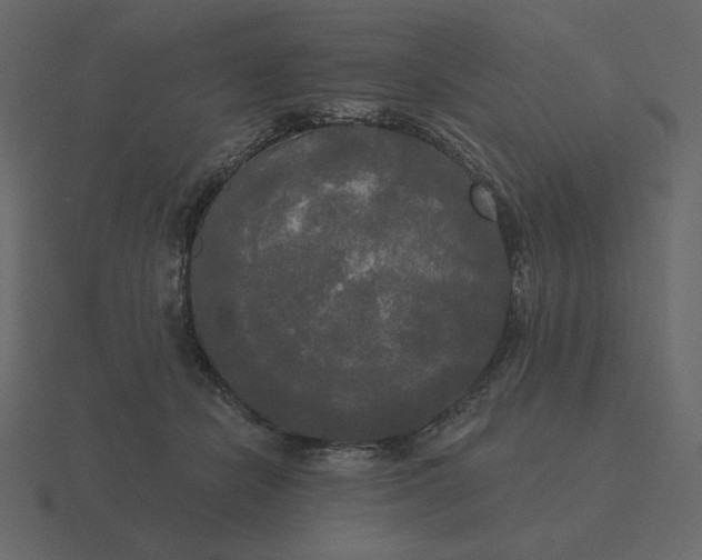 X0000116570462200912241638