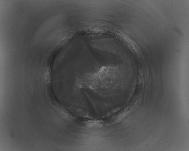 X0000116570465200912241638