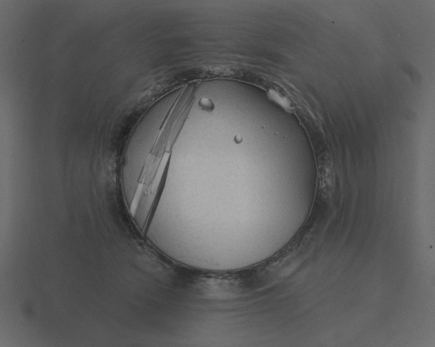 X0000116570466200912241638