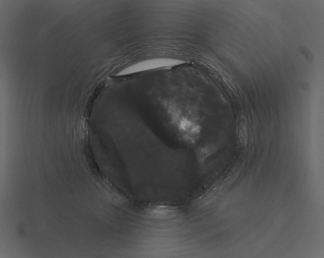 X0000116570467200912241638