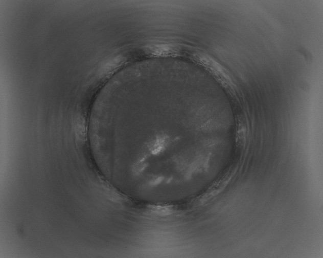 X0000116570469200912241638