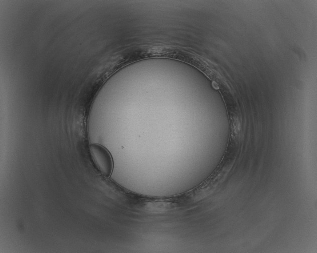 X0000116570470200912241638