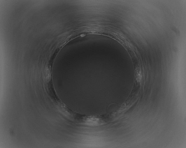 X0000116570471200912241638