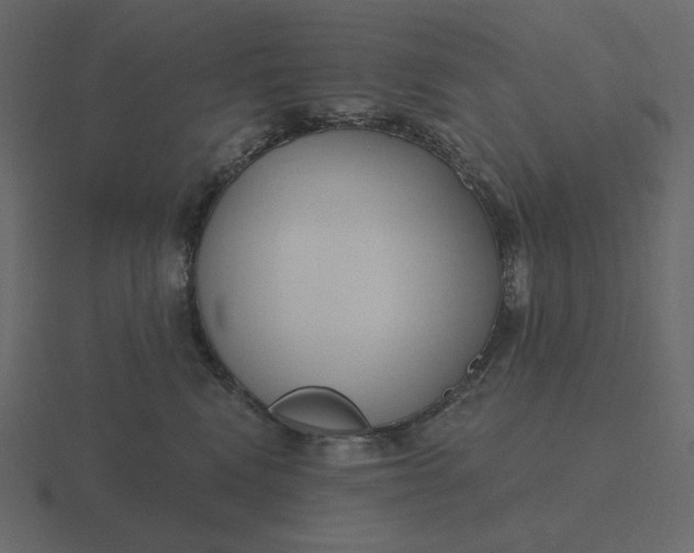 X0000116570472200912241638