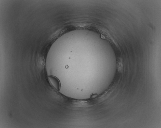 X0000116570476200912241638