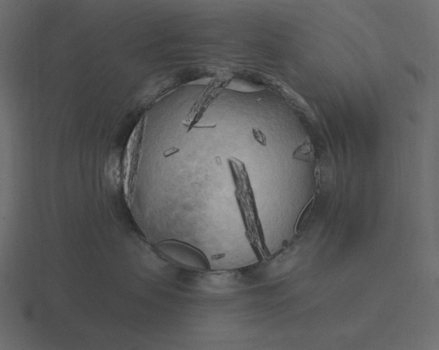 X0000116570479200912241638