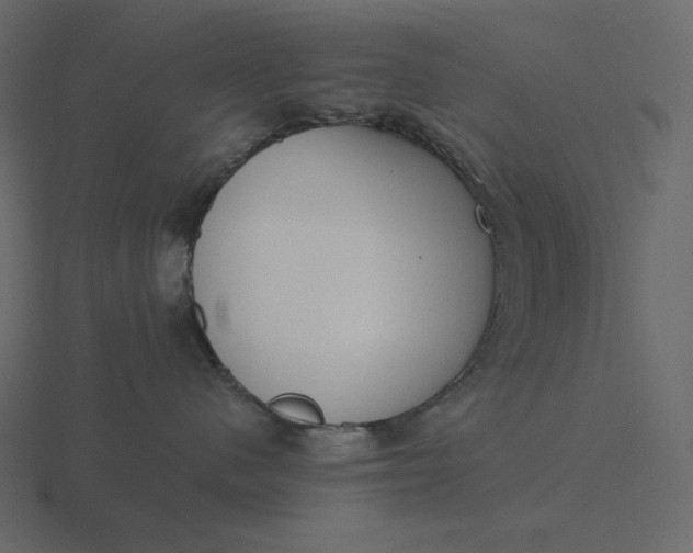 X0000116570480200912241638