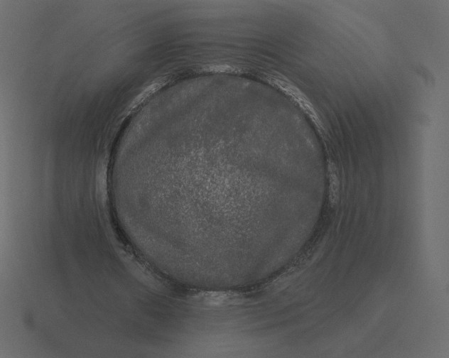 X0000116570482200912241637