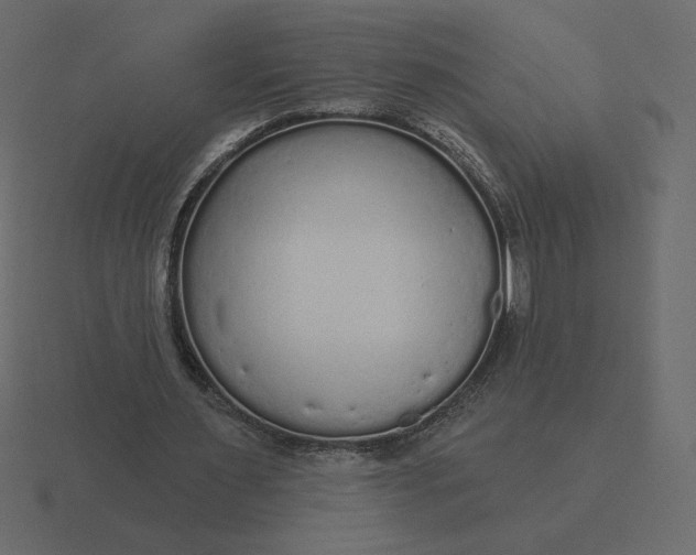 X0000116570483200912241637