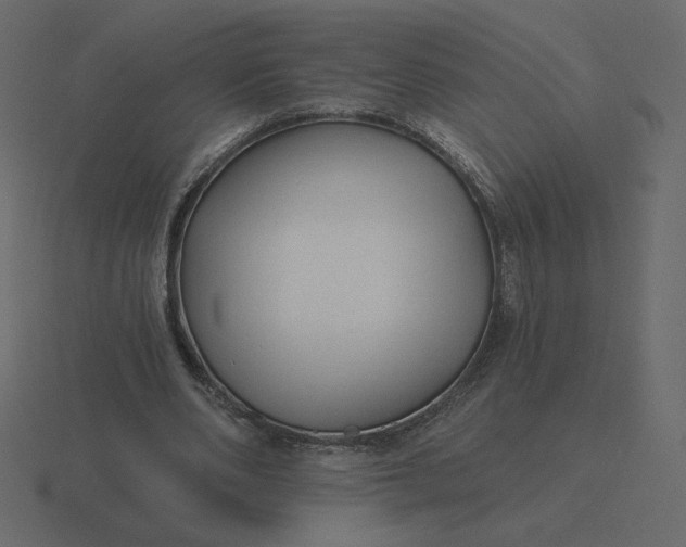 X0000116570486200912241637