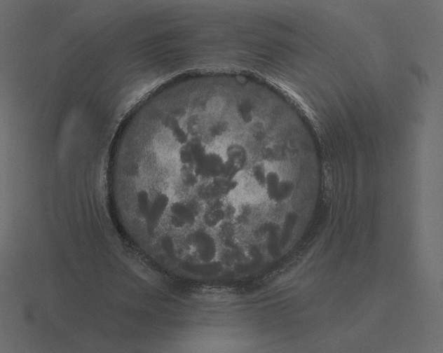 X0000116570487200912241637