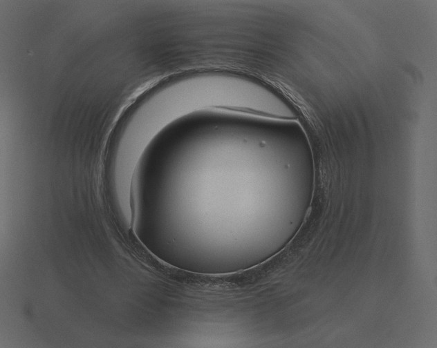 X0000116570488200912241637