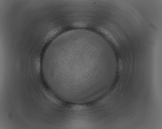 X0000116570494200912241637