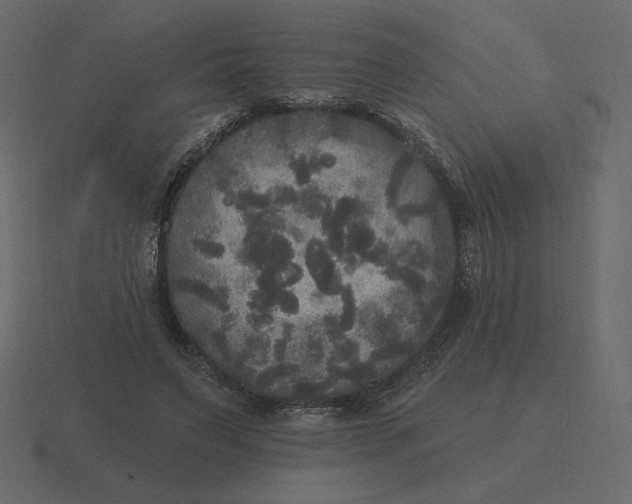 X0000116570495200912241637