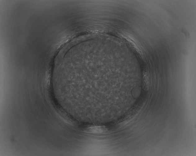 X0000116570499200912241637