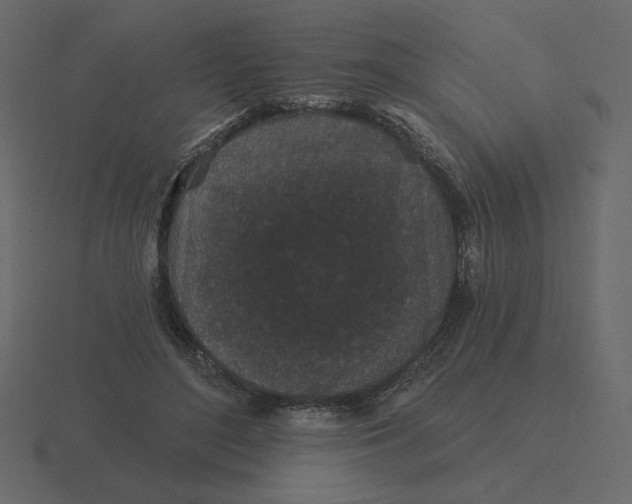 X0000116570500200912241637