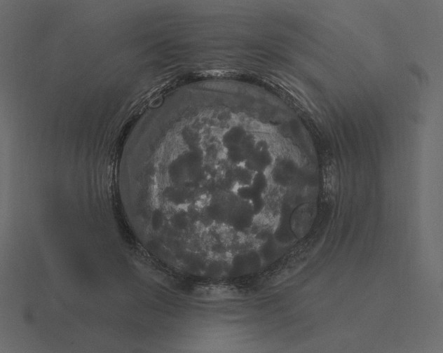 X0000116570503200912241637