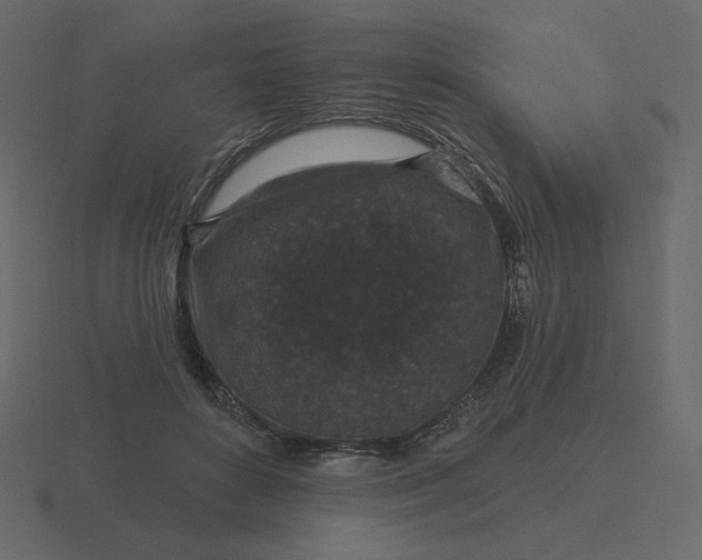 X0000116570504200912241637