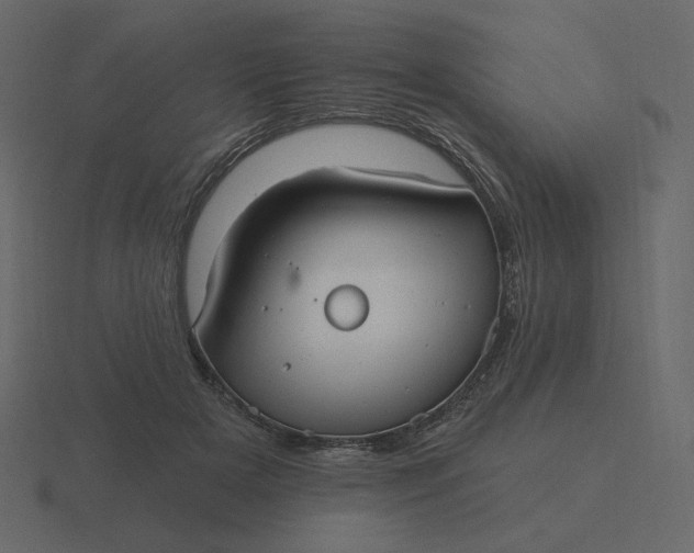 X0000116570505200912241637