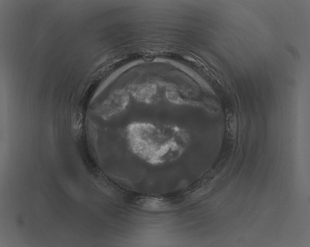 X0000116570507200912241637