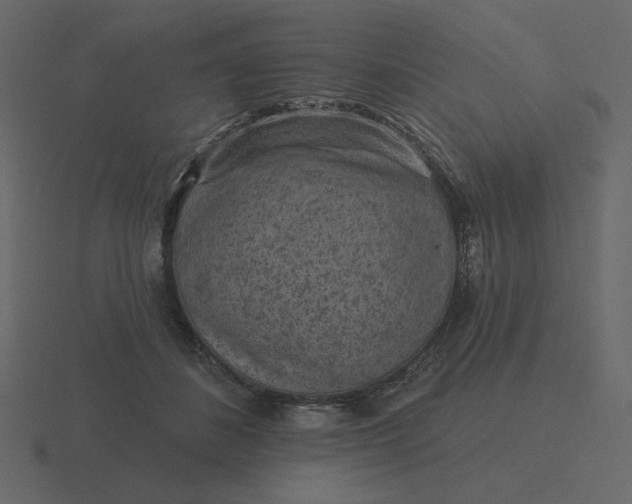 X0000116570508200912241637