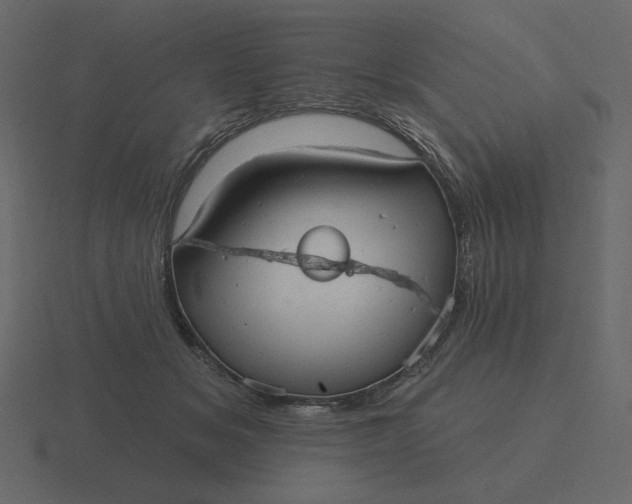 X0000116570509200912241637