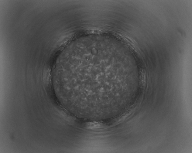 X0000116570511200912241637