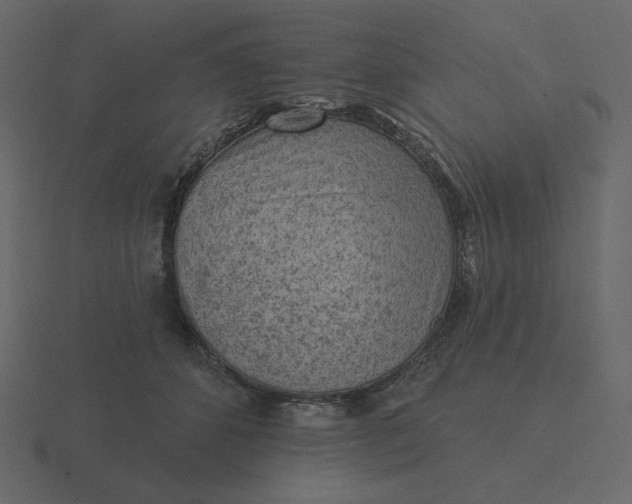 X0000116570512200912241637