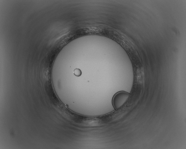 X0000116570514200912241637