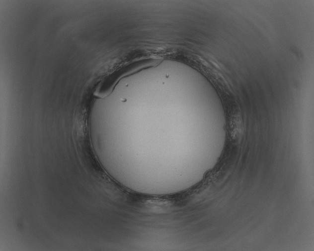 X0000116570515200912241637