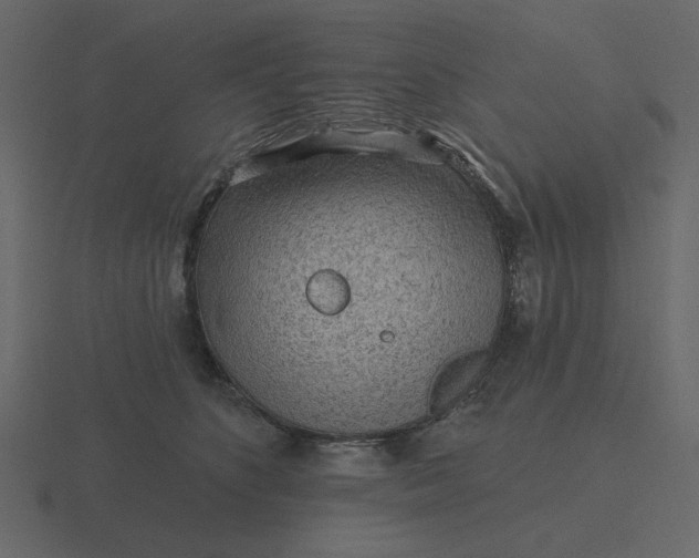 X0000116570516200912241637