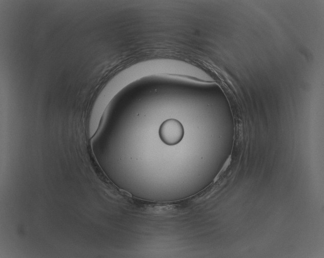 X0000116570517200912241637