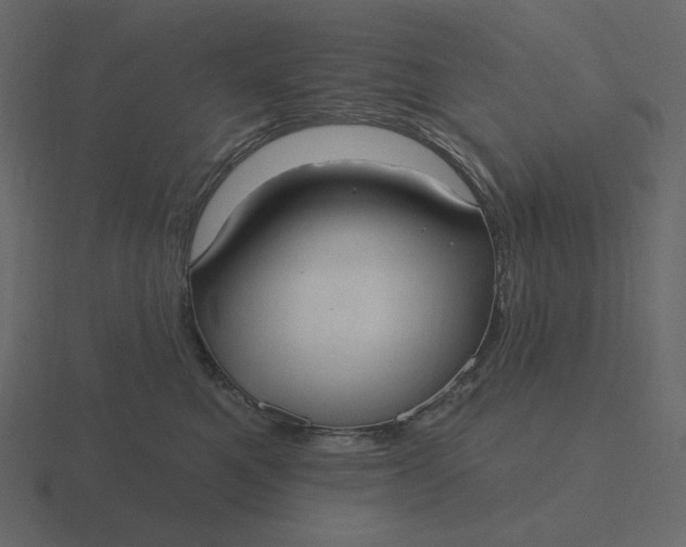 X0000116570521200912241637