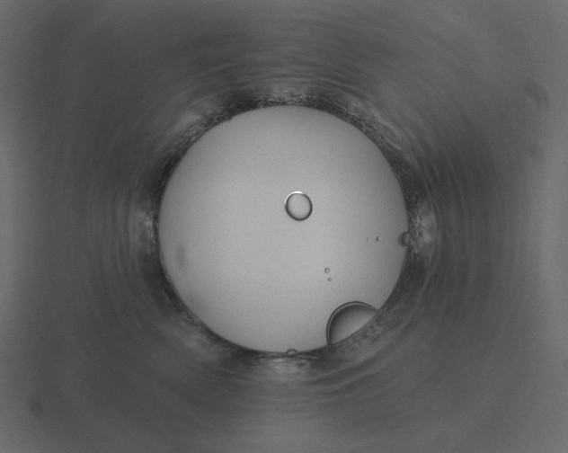 X0000116570522200912241637