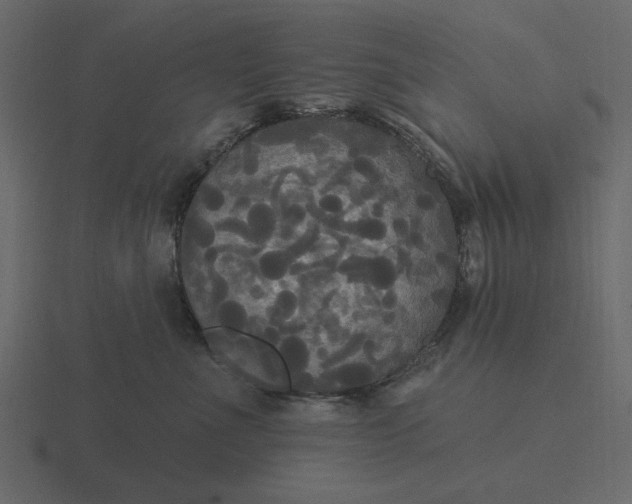 X0000116570523200912241637