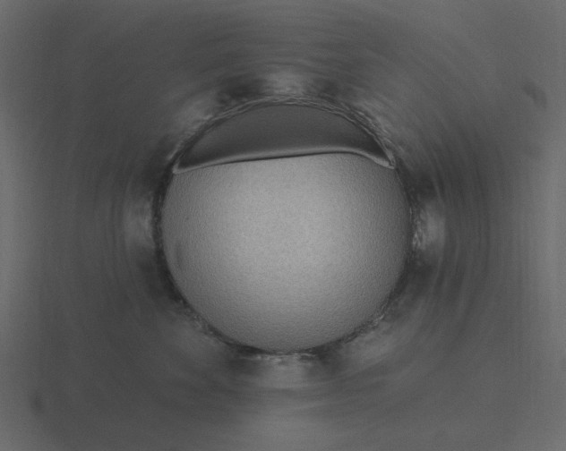 X0000116570524200912241637