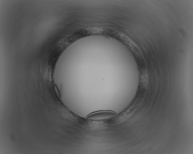 X0000116570525200912241637