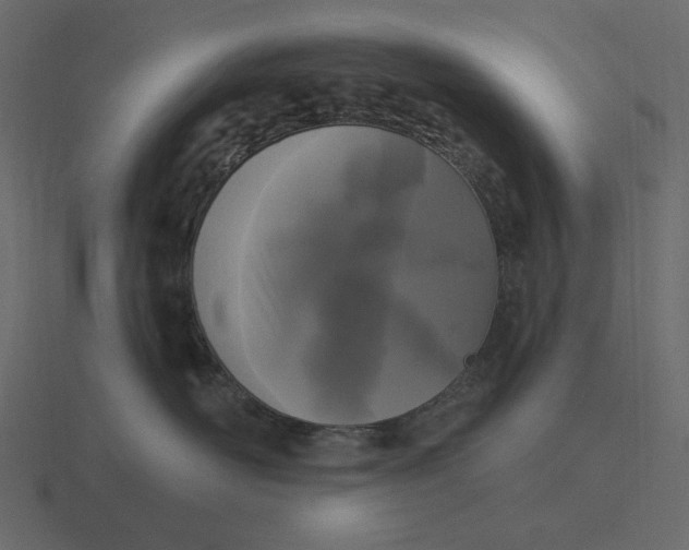 X0000116570526200912241637