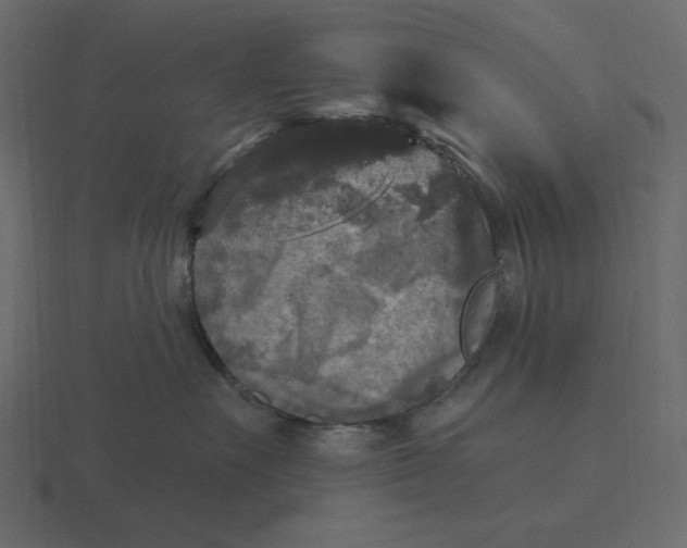 X0000116570527200912241637