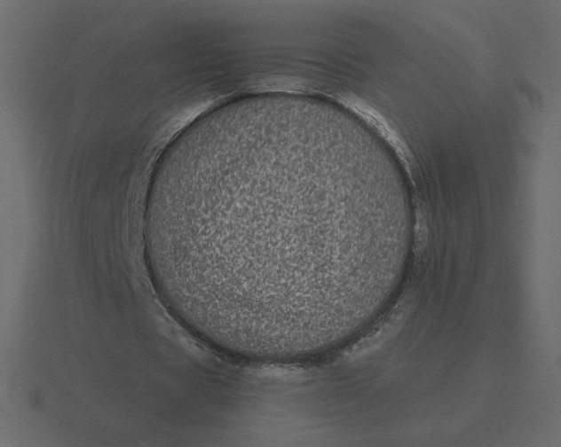 X0000116570529200912241636