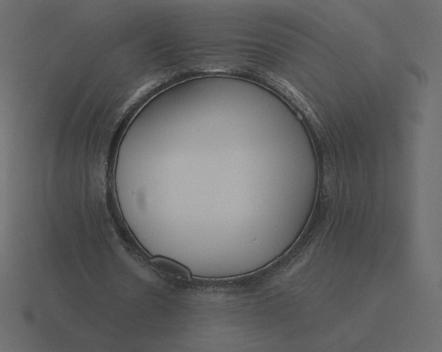 X0000116570530200912241636