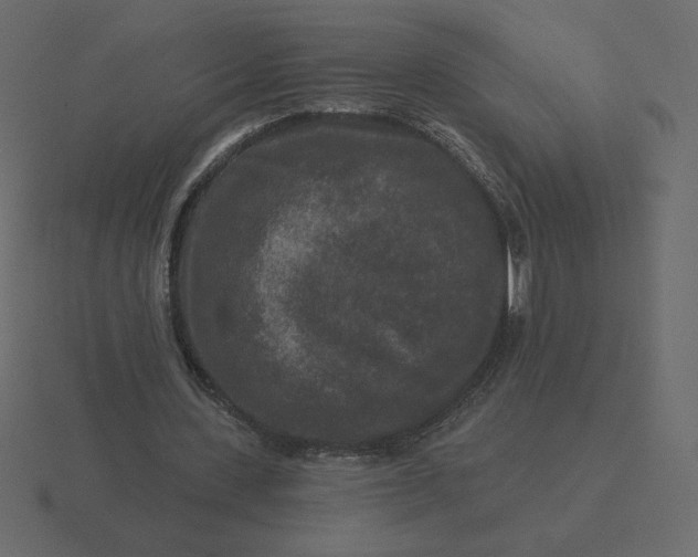 X0000116570531200912241636