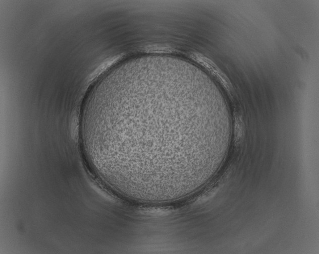 X0000116570533200912241636