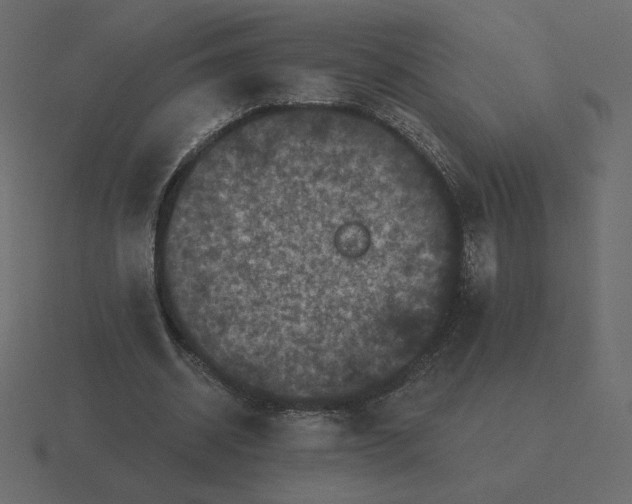 X0000116570534200912241636