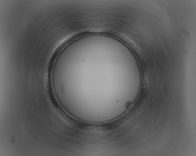 X0000116570535200912241636