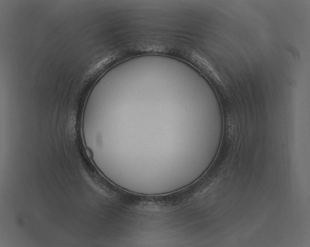 X0000116570538200912241636