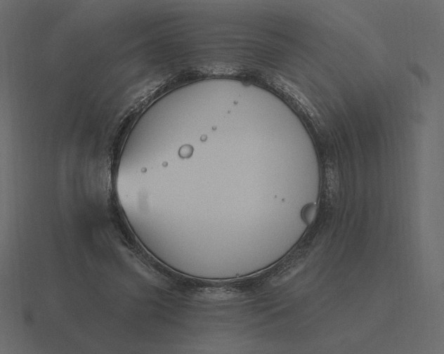 X0000116570541200912241636